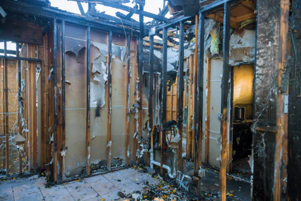 Professional Smoke Damage Removal technician working in Columbus, MN