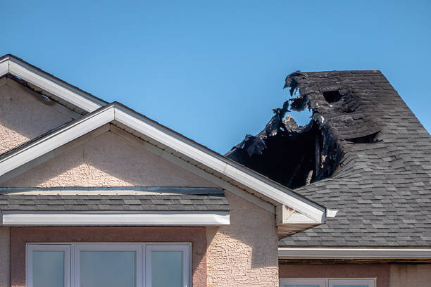 Top rated local Smoke Damage Removal specialists in Columbus, MN